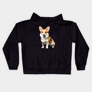 Corgi Cute Kids Hoodie